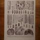 Lithographies originales sur les arbres