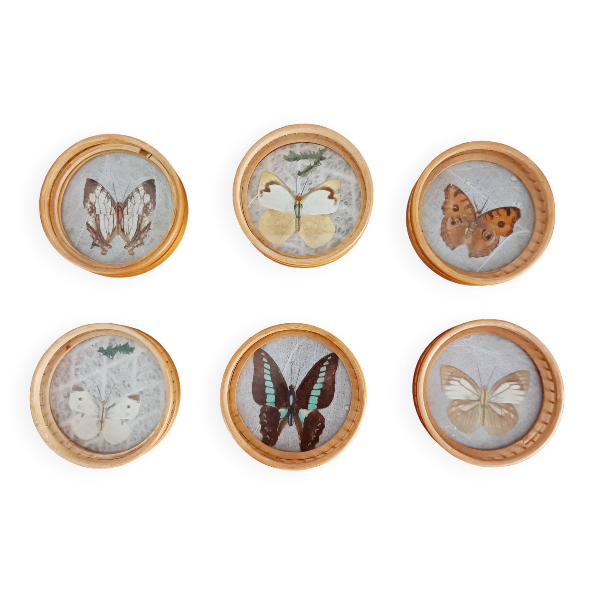 Set of 6 butterfly coasters