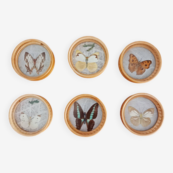 Lot de 6 dessous de verre papillon