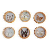 Set of 6 butterfly coasters