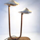 Rattan lamp and shells, 1930