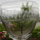 Set of 5 antique water glasses in engraved frieze glass.
