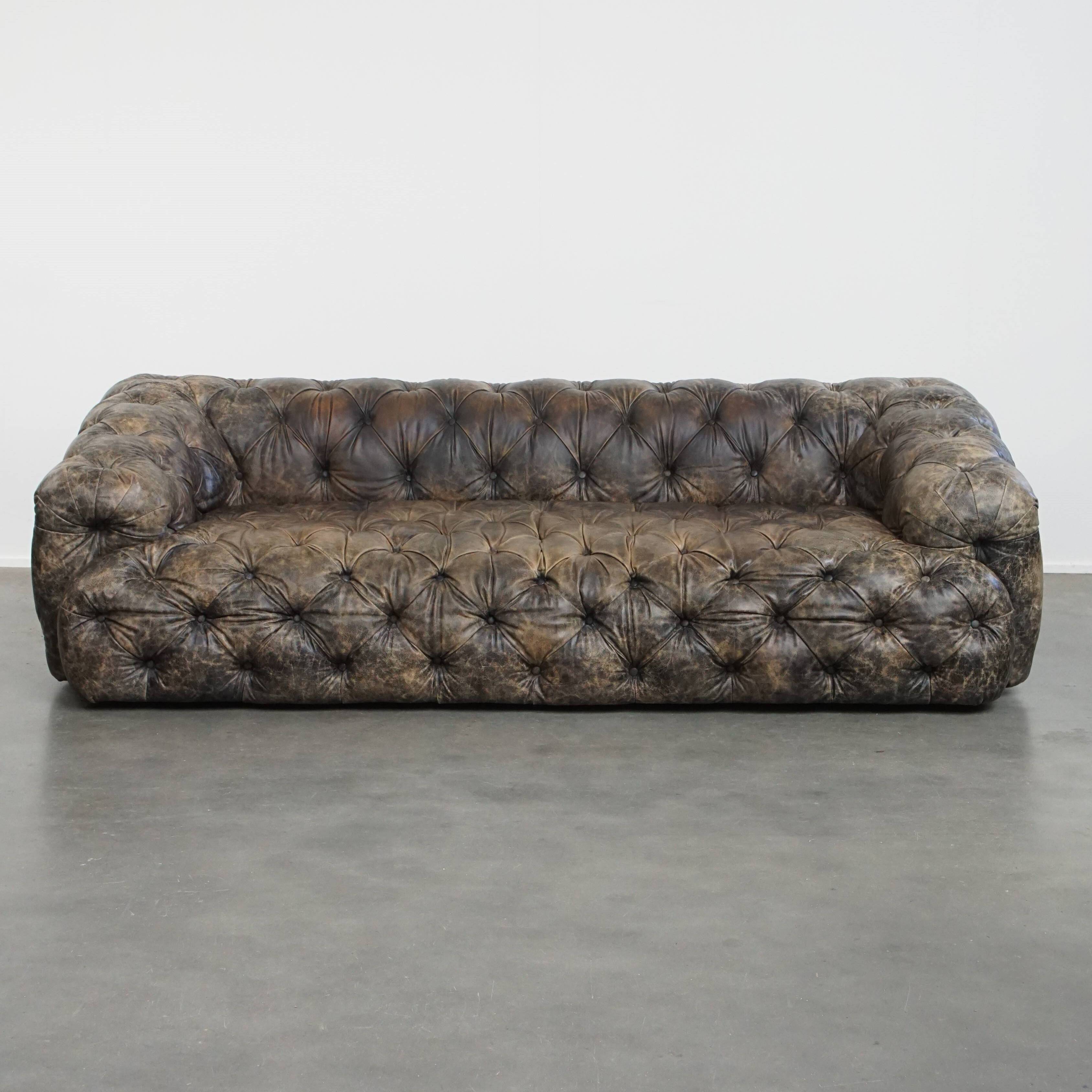 Chesterfield cowhide sofa