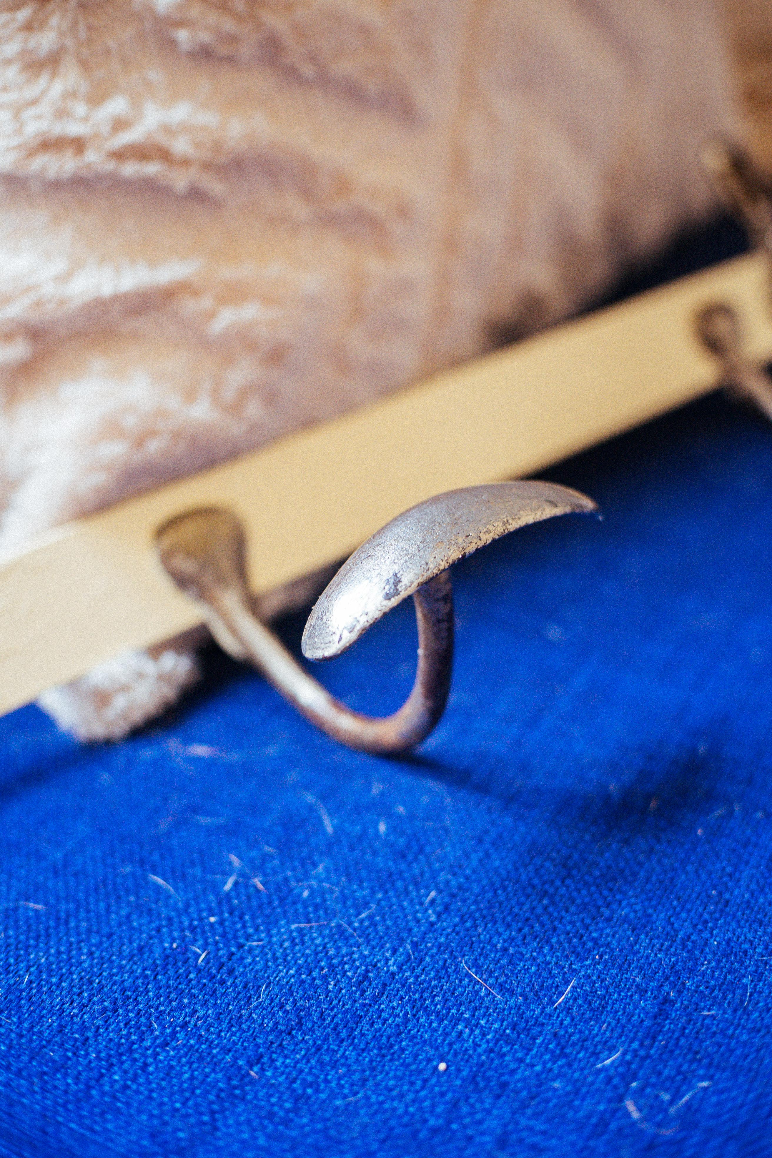 Antique wrought iron coat rack