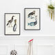 Chimera lithograph animal engraving - the pink flamoulpe
