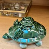 Turtle collection