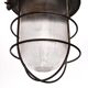 Industrial cage lamp green