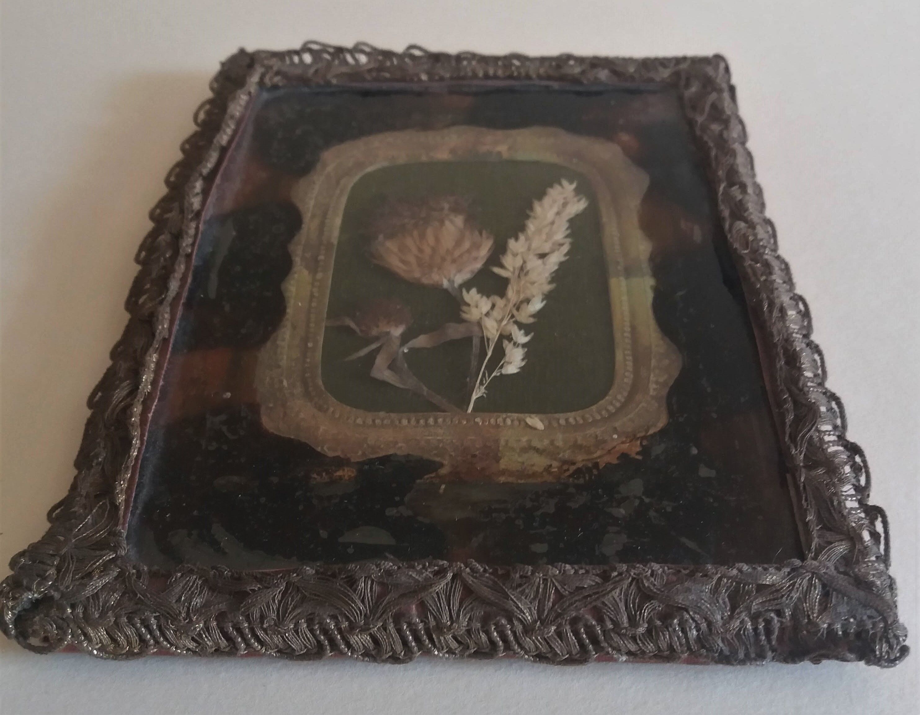 Herbarium in a nice setting