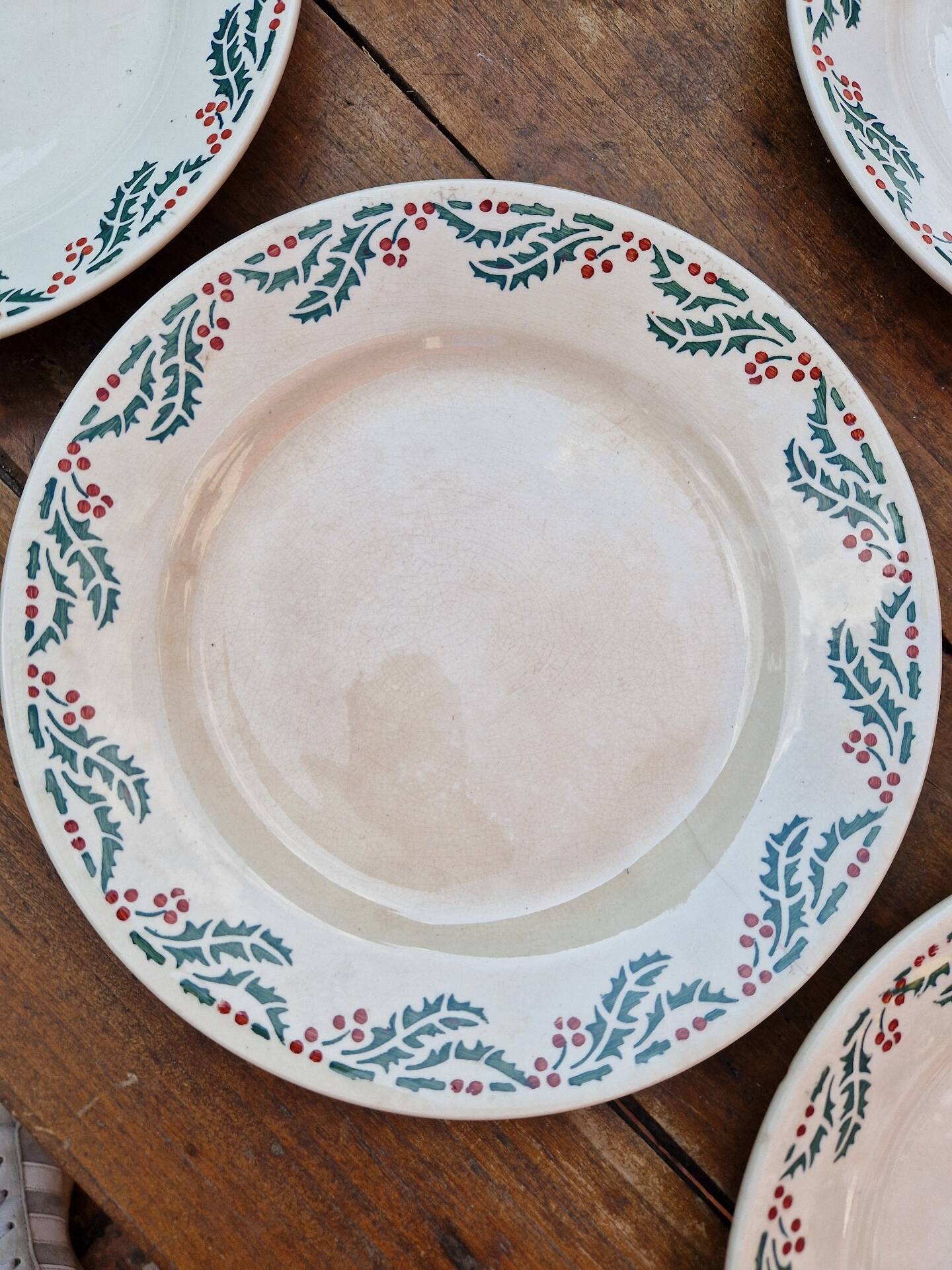 Lot De 7 Assiettes Plates Modèle Houx HB