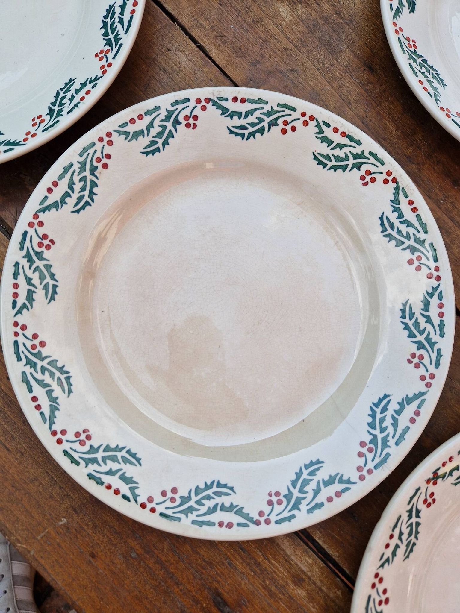 Set of 7 Flat Plates Holly Model HB