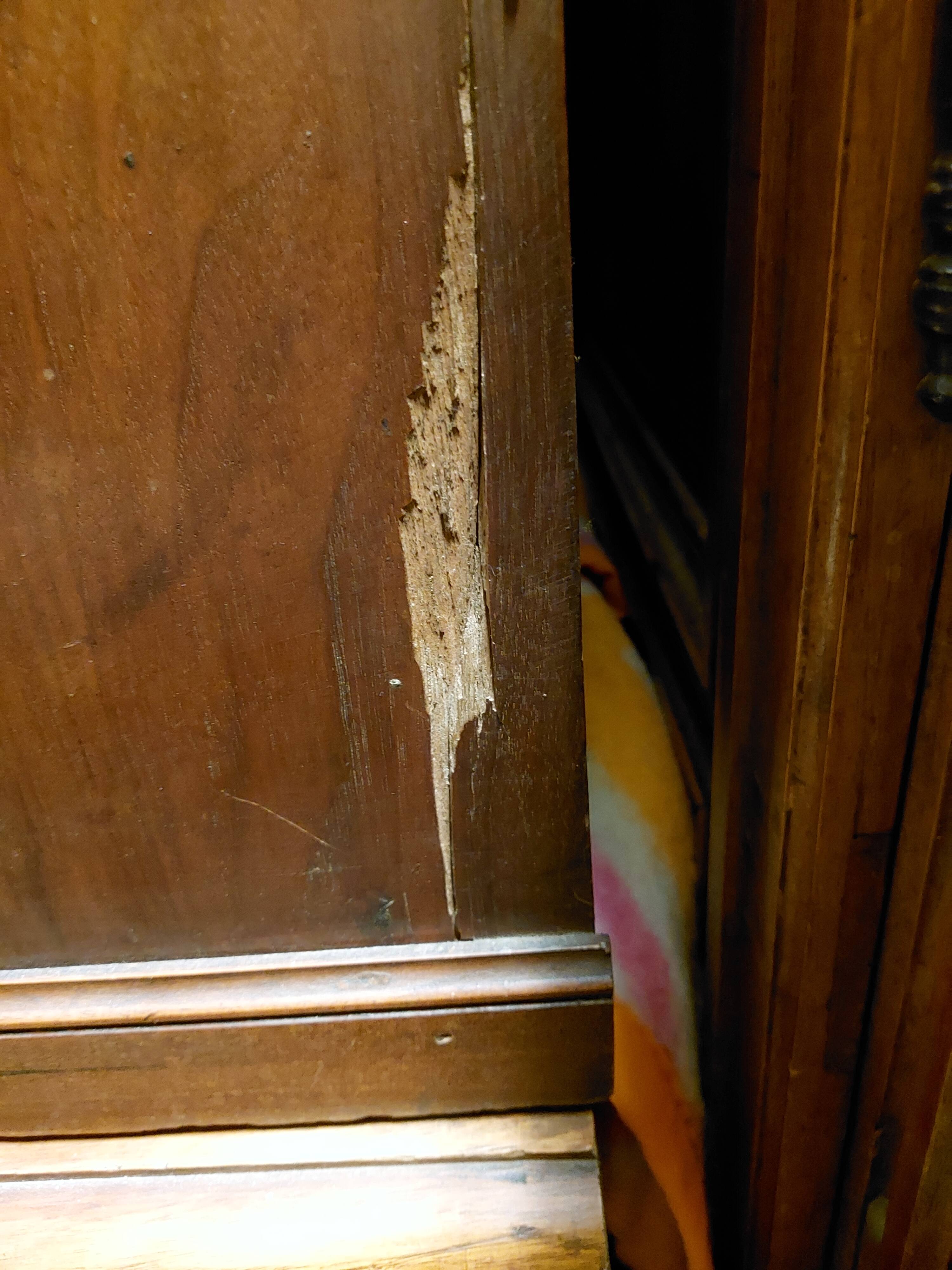 Meuble de métier en chêne avec 30 casiers à clapet - Minutier - Notaire - Apothicaire - Années 30
