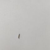 Round dining table by Charles & Ray Eames for Vitra 1980