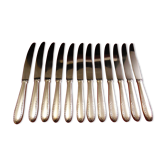 Service of 12 table knives goldsmith Deetjen in case