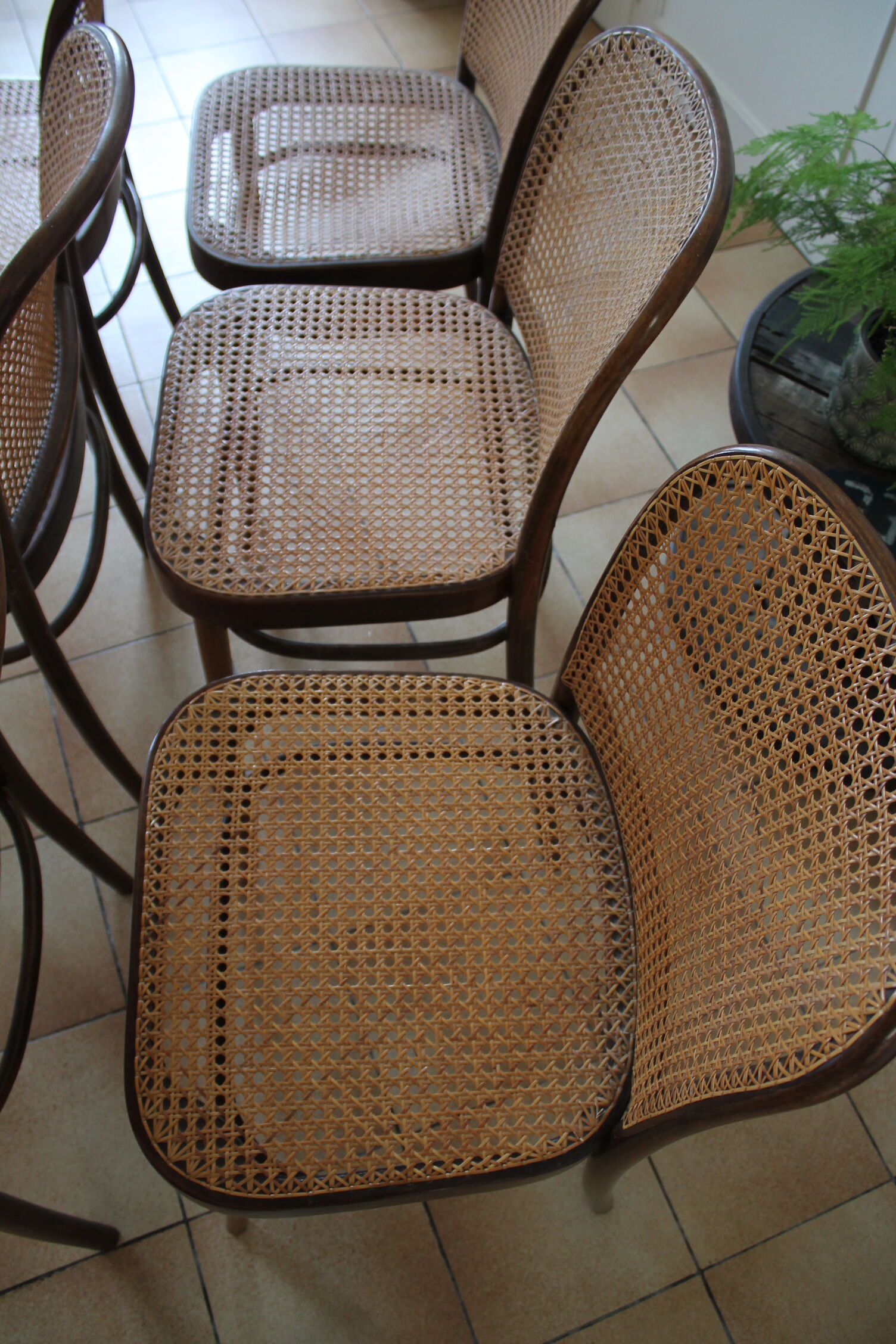 Set of 6 chairs canned drevounia