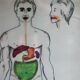 Boards of the human body medicine or school