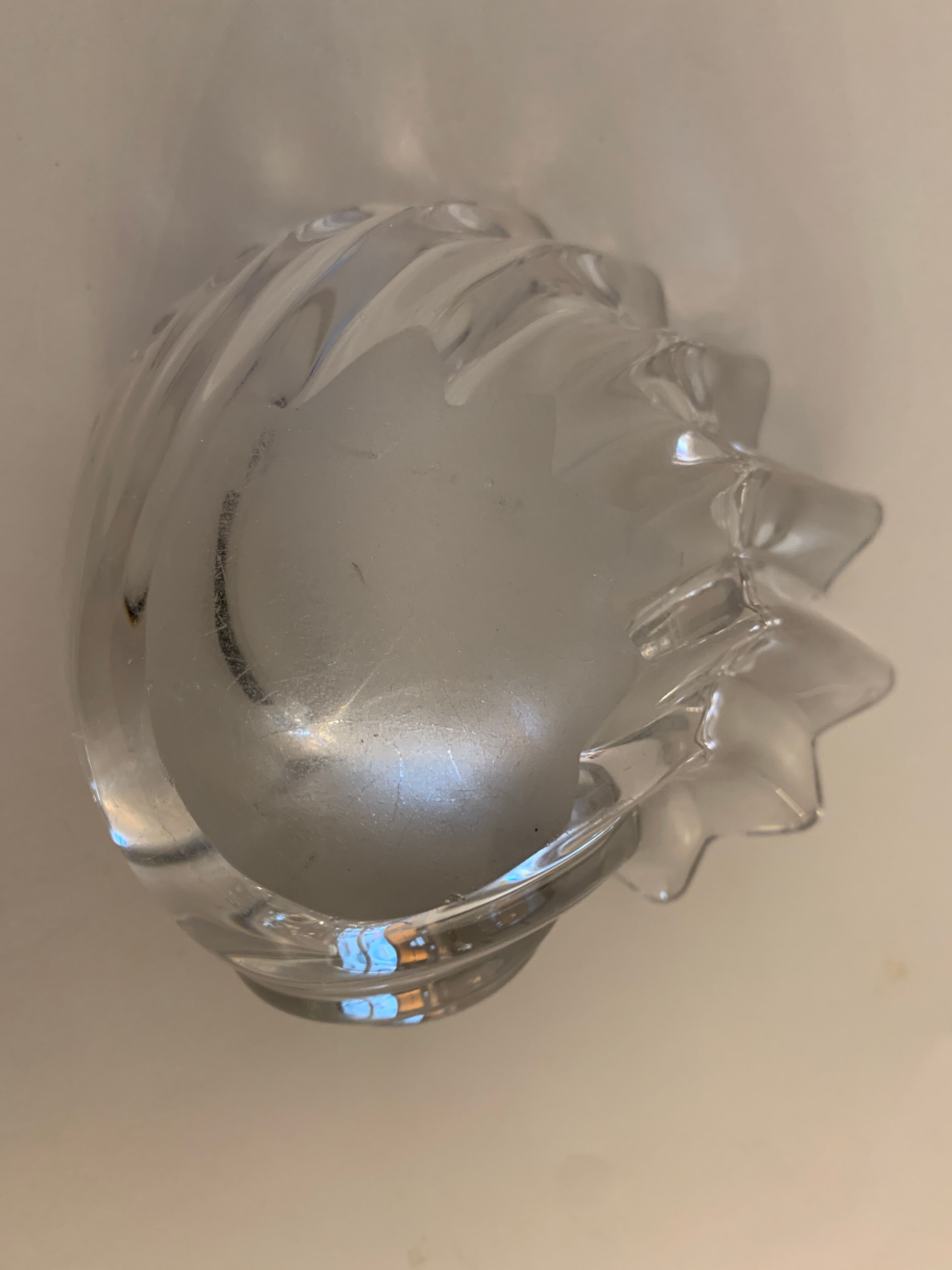 Empty crystal pocket in the shape of a shell