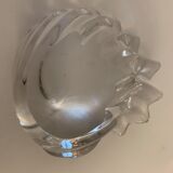 Empty crystal pocket in the shape of a shell