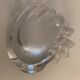 Empty crystal pocket in the shape of a shell