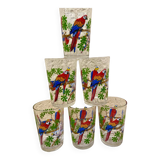 Six vintage parakeet glasses