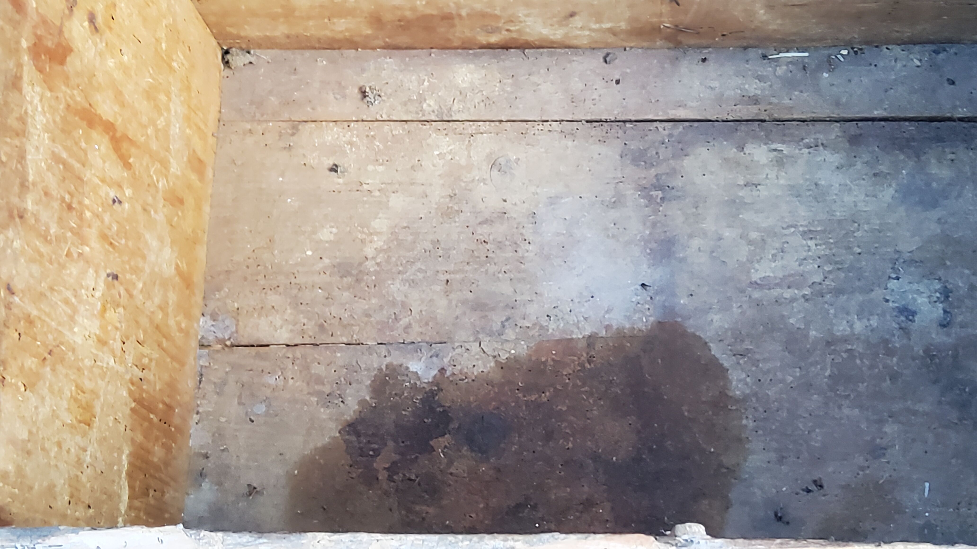 Alsatian polychrome wedding chest eighteenth -nineteenth century