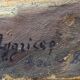 Old HST painting "Cadouarne near Séné" Brittany Morbihan signed éc Pont