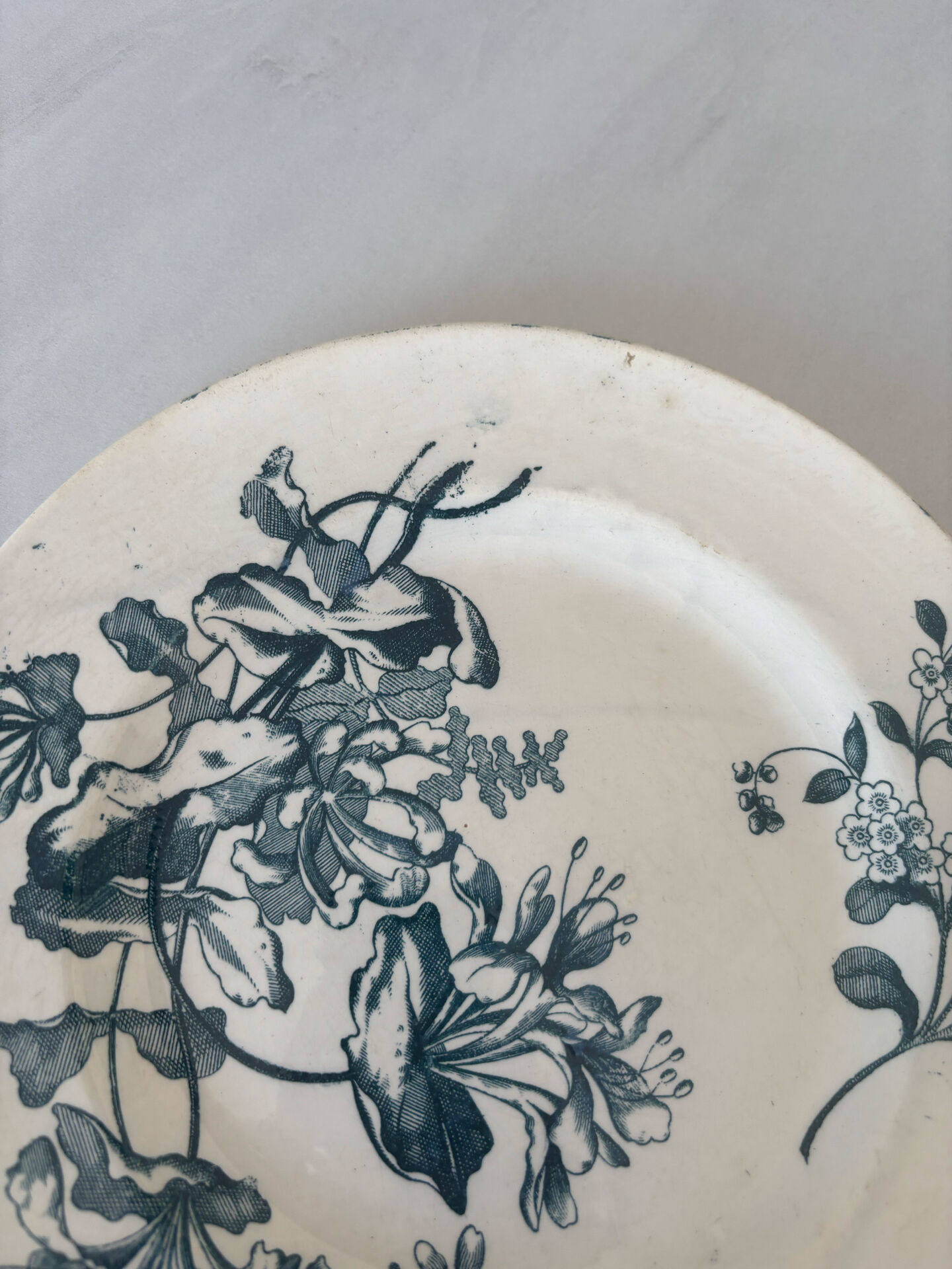 Flat plate, ironstone, Sarreguemines, blue flower - antique earthenware.