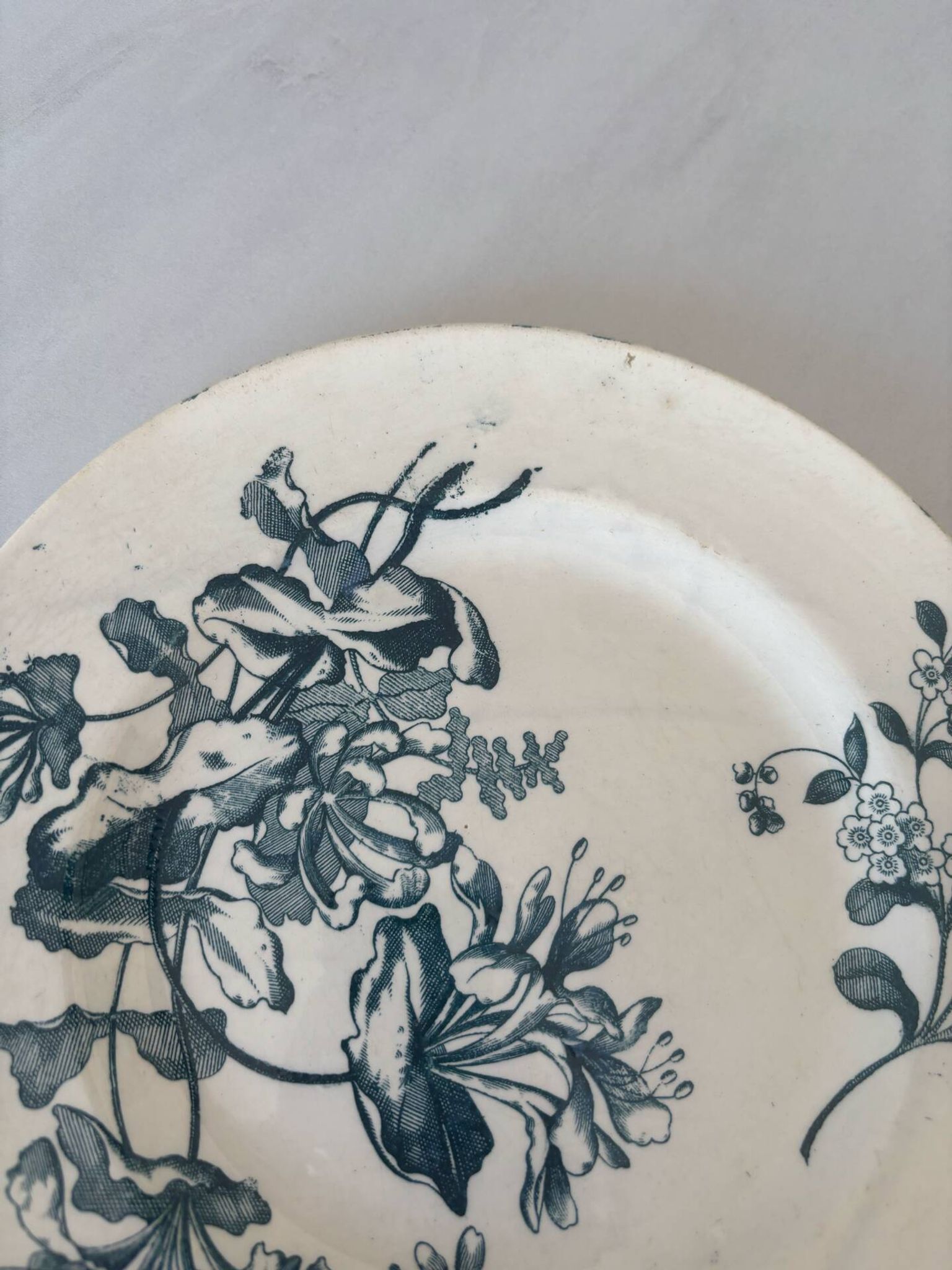 Assiette plate terre de fer sarreguemines fleur bleu- faïence ancienne