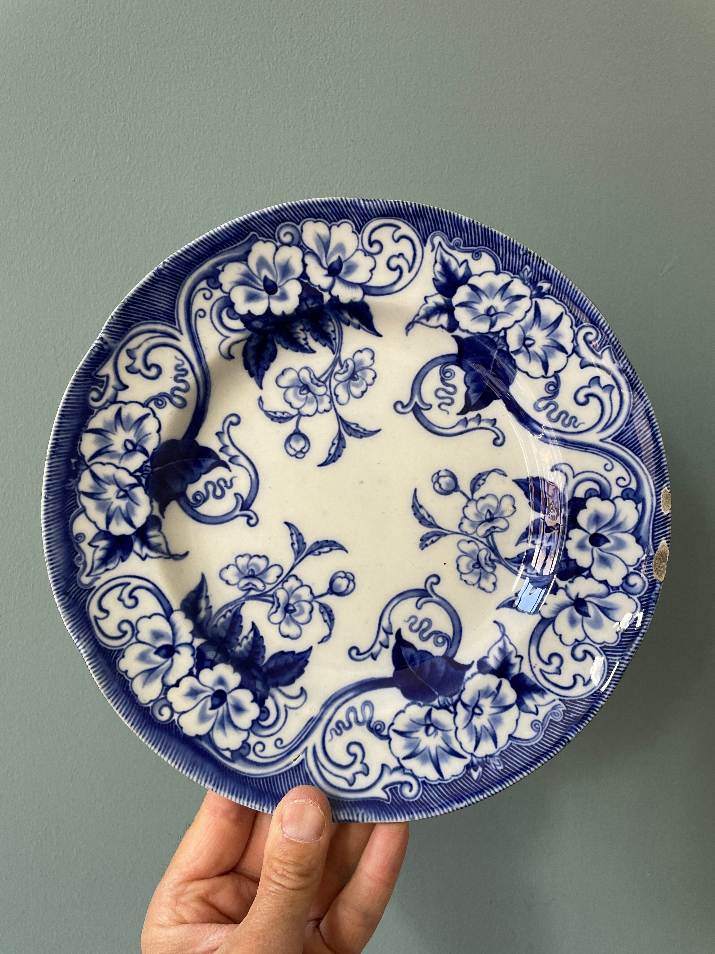 Set of 4 flat plates Creil and Montereau, Flora model
