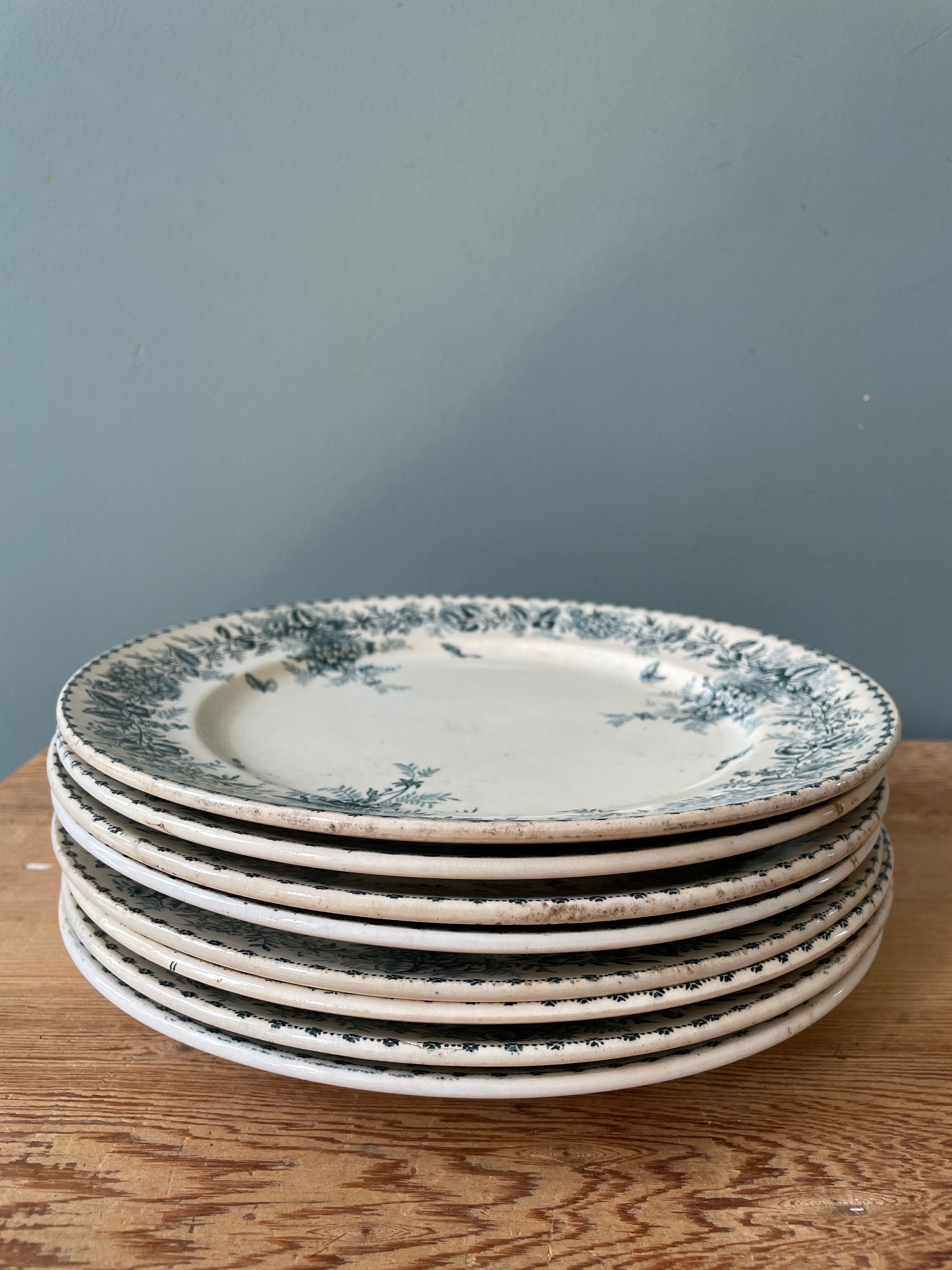 Set of 8 flat plates 19th century Terre de Fer, “Stella” Onnaing earthenware