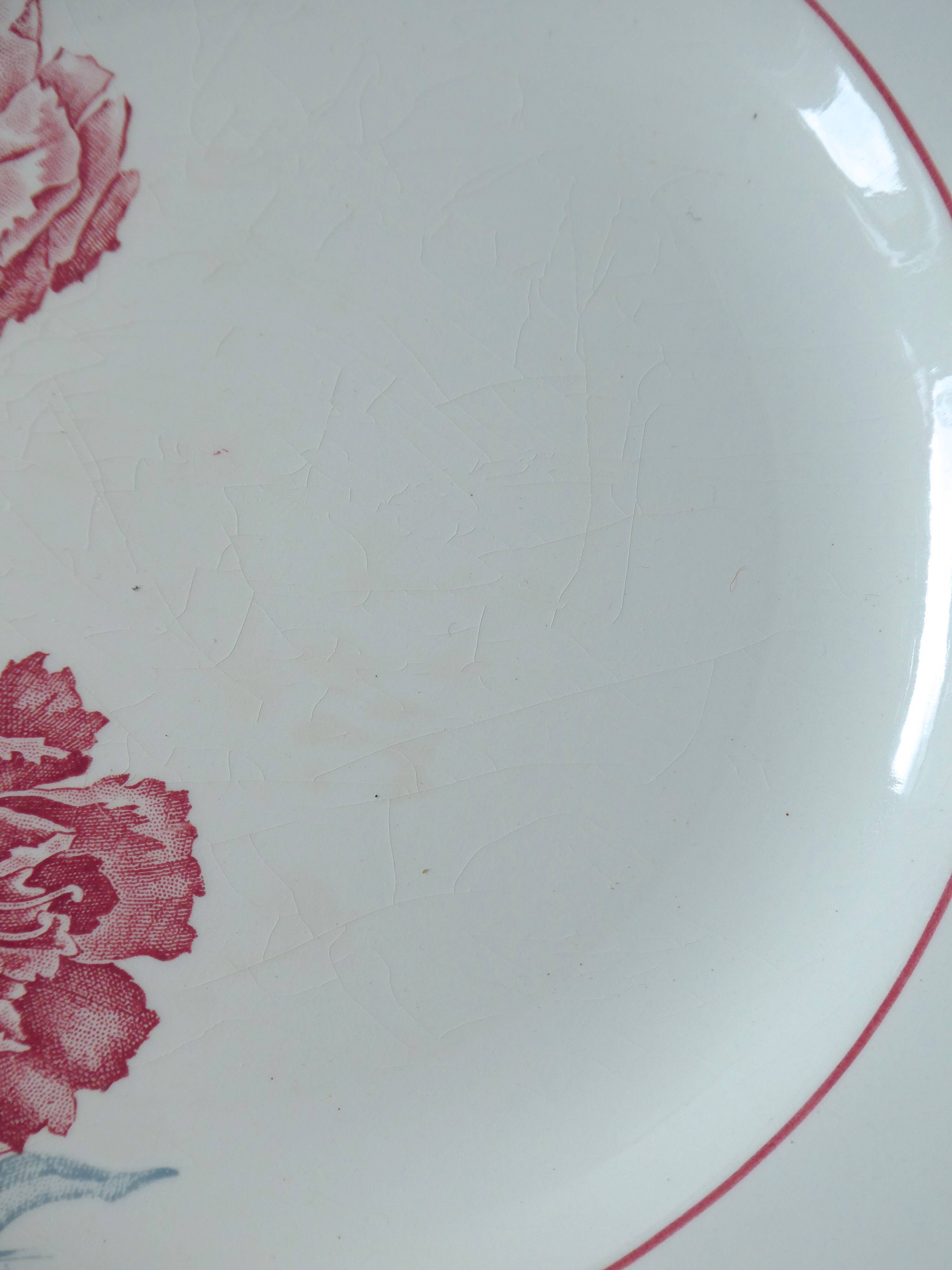 Set of 6 hollow plates, terre de fer saint amand, model antibes