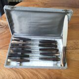Service 12 horn handle knives