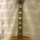 guitar Suzuki j200