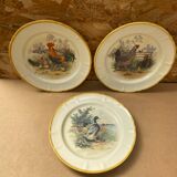 Set of 3 Old Ceramic Plates Decor H. ARNDT Rooster Hen & Duck #B188