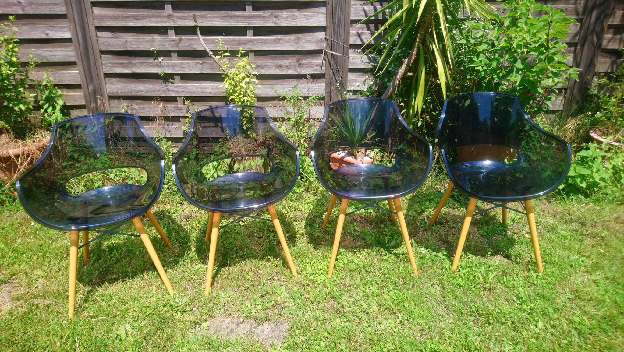 Lot of Opal Wox grey smoke chairs with beech legs.