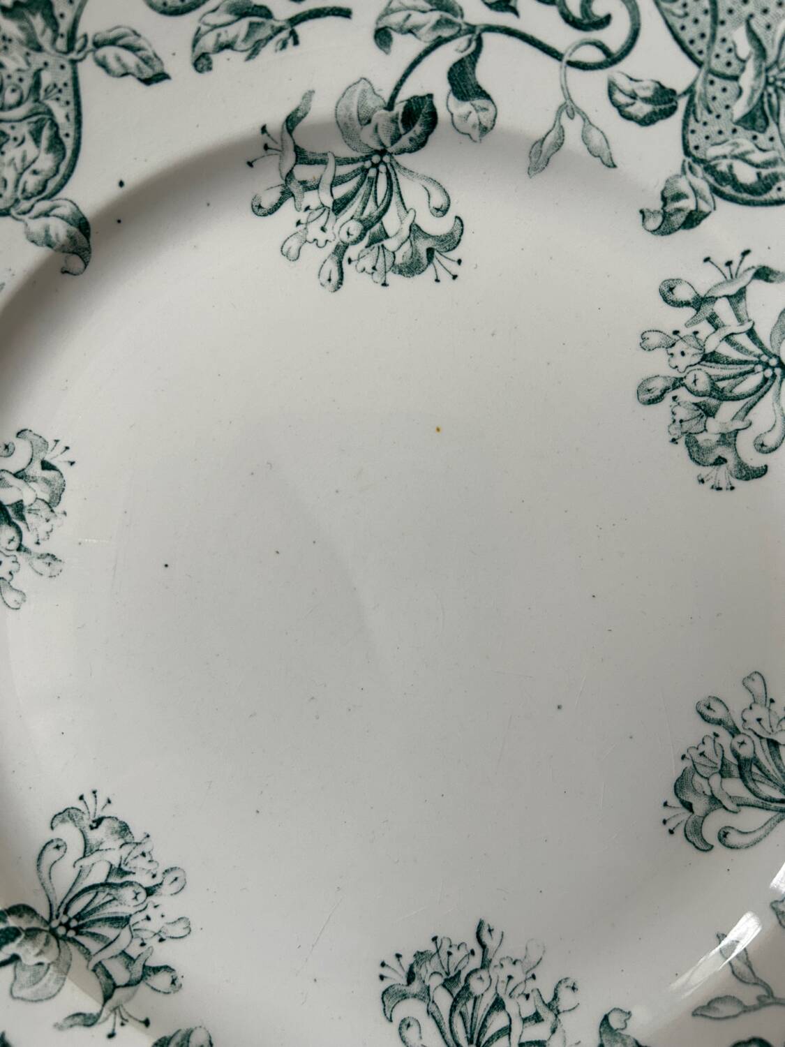 Set of 6 mismatched antique dinner plates