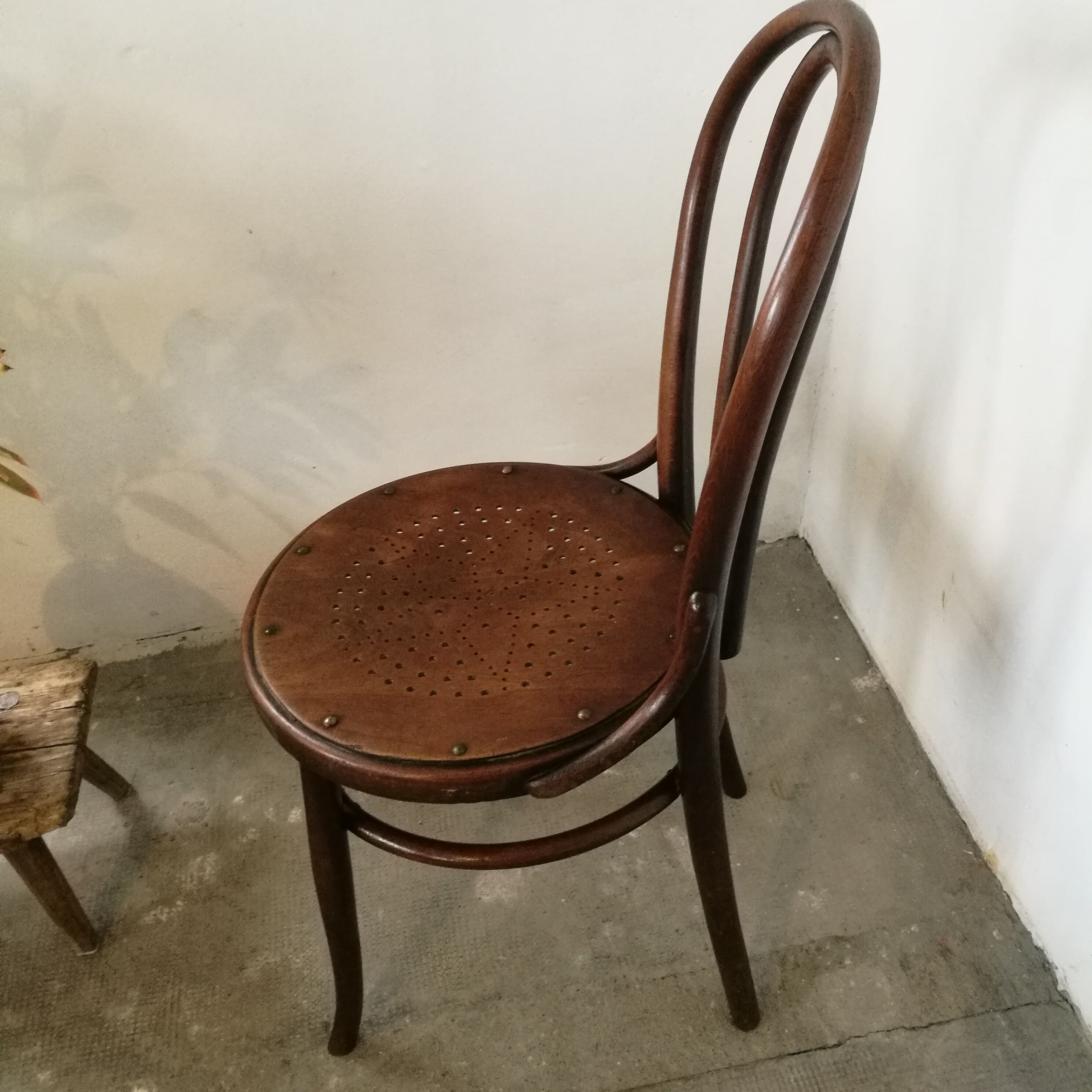 Taxhel bistro chair in curved wood