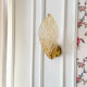 Amber Murano glass leaf wall light