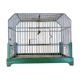 Old bird cage