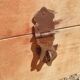 Vintage wooden crate