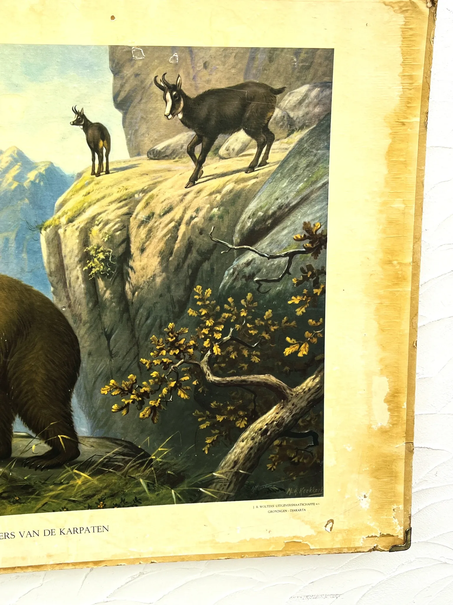 School poster J.B. Wolters