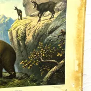 School poster J.B. Wolters