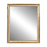 19th C French Giltwood Rectangular Mirror with Foxed Glass
