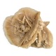 Large size sand rose