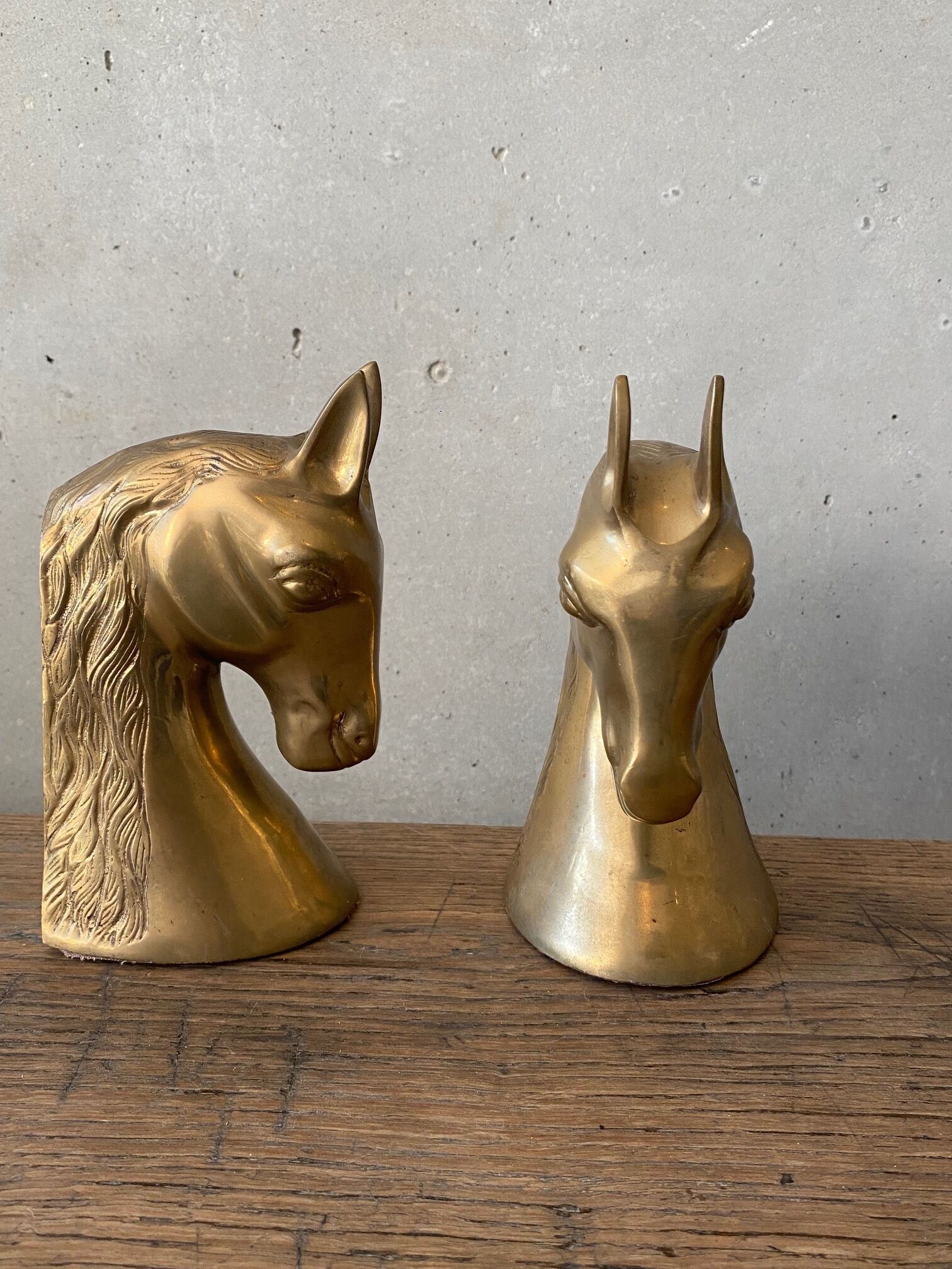 Greenhouse Book Horse