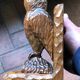 Free-range owls