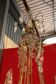 Bronze lustre and crystal 19th