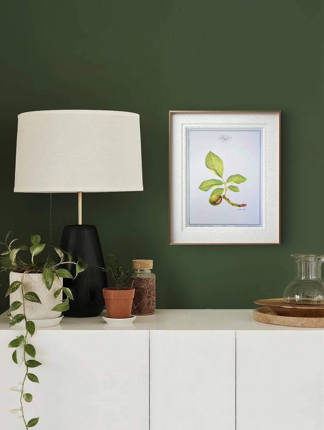 Printed in 1986, The Walnut Tree. Vintage Botanical