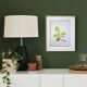 Printed in 1986, The Walnut Tree. Vintage Botanical