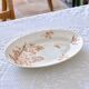 Large oval dish 19th century Longwy iron earth sepia "Botanical" bird