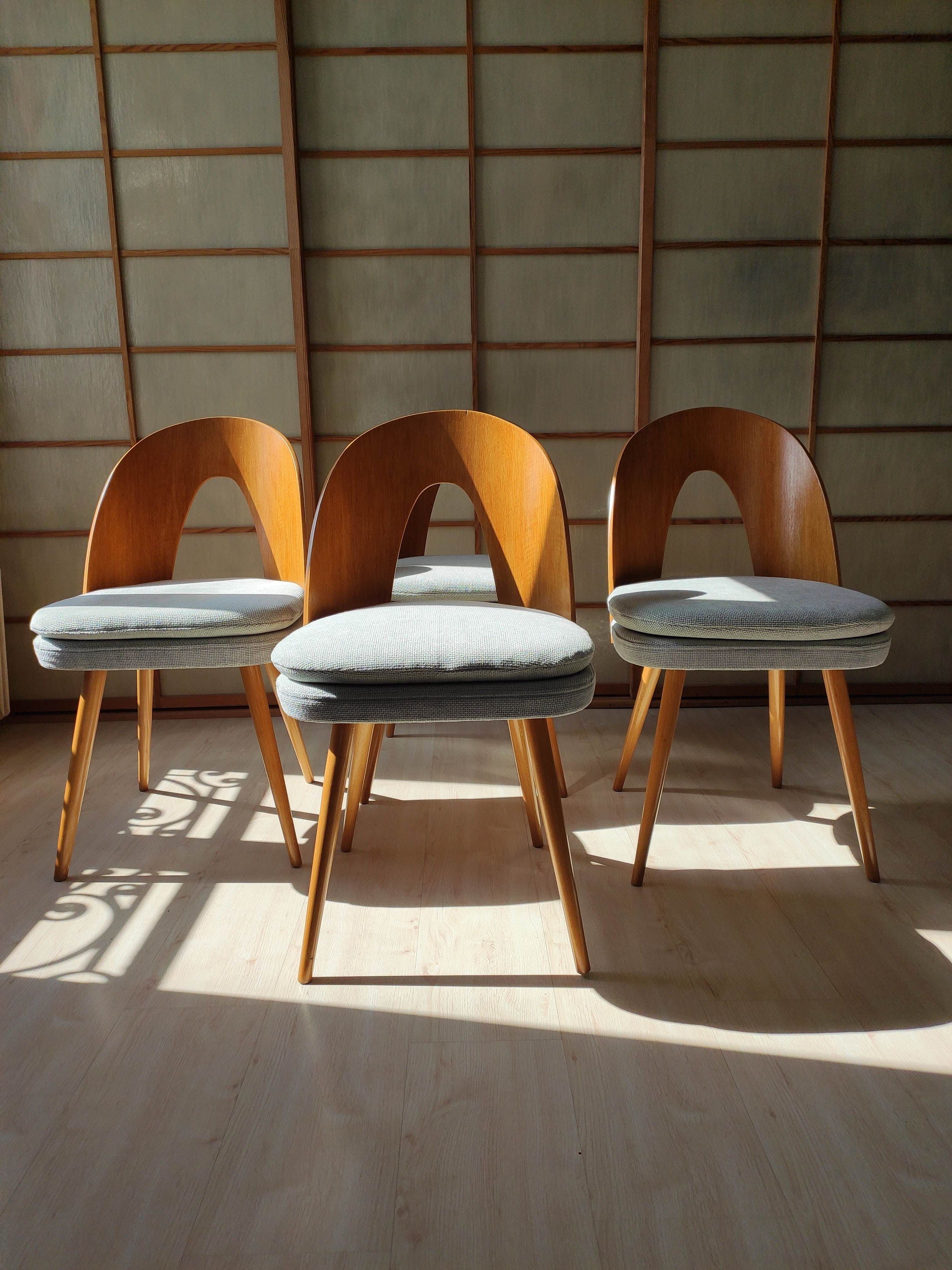 Series of 2 chairs Antonin Suman 60s